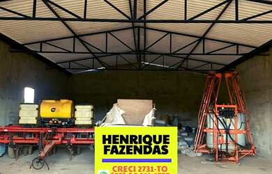 Imagem 11: Fazenda 45 km de Palmas lavoura e pecuária