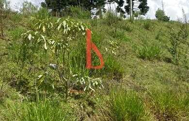 Imagem 8: Terreno 181 metros quadrados Jardim Roma - Almirante Tamandaré - Região...