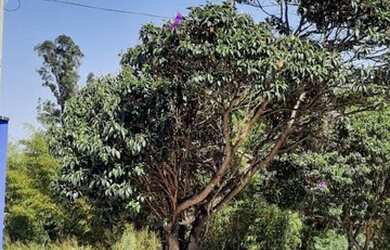 Imagem 2: TERRENO - JARDIM ALICE - SP