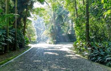Imagem 1: Chácara Flora. 1.300m² de Área, 5 Vagas na garageme5 Dormitórios