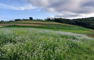 Imagem 12: Lote/Terreno para venda com 600 metros quadrados em Jardim Helena - Carapicuíba...