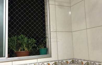 Imagem 13: Ribeirão Preto - Apartamento Padrão - Presidente Médici