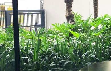 Imagem: O apartamento possui 4 Dormitórios, 5 Banheiros, 3 Vagas na