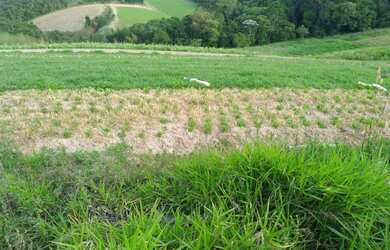 Imagem 13: Lote/Terreno para venda com 600 metros quadrados em Jardim Helena - Carapicuíba...
