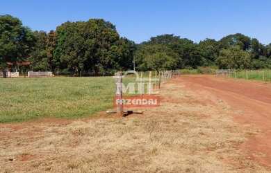 Imagem 8: Fazenda no Vale do Araguaia-MT. gt 1.598 Há. Excelente p/ Lavoura