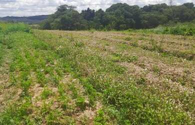 Imagem 15: Lote/Terreno para venda com 600 metros quadrados em São João - Itapevi...