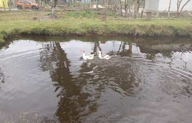 Imagem 4: Troco chácara em guaratuba por casa em curitiba