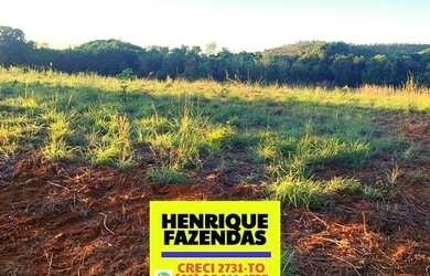 Imagem 6: Fazenda 45 km de Palmas lavoura e pecuária