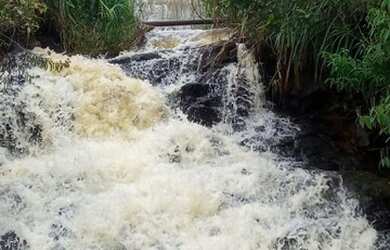 Imagem 1: Lote/Terreno para venda com 10000 metros quadrados em Porto Alpina - Igaratá...