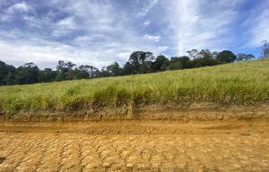 Imagem 8: CONDOMINIO FECHADO COM TODA INFRAESTRUTURA - VENHA VIVER NO CAMPO