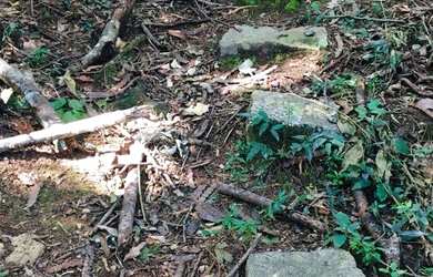 Imagem: A chácara possui 1800m² de Área e está localizado em Itamonte