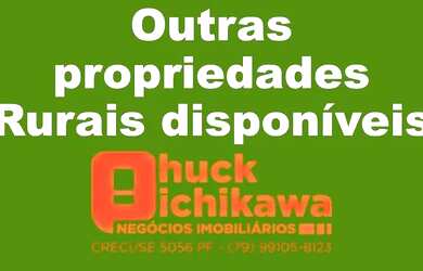 Imagem 8: Fazenda de 60 Tarefas - Lagarto