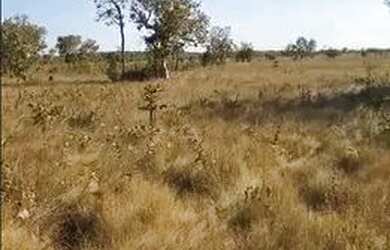 Imagem 6: Fazenda De 1.432 Hectares Região São Félix Do Araguaia/MT