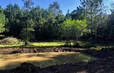 Imagem 4: Sítio Com Açude Em Condomínio Fechado. ROB 533