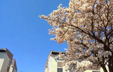 Imagem: O apartamento possui 3 Dormitórios, 1 Banheiro, 1 Vaga na garagem