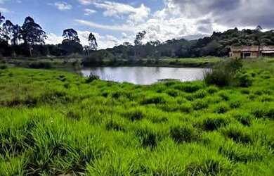 Imagem 4: Lote/Terreno para venda tem 500 metros quadrados em Jardim Lavapes das...