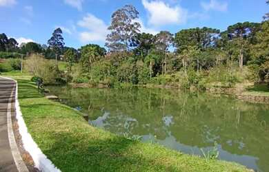 Imagem 10: Terreno - Bairro Vale dos Pinheiros