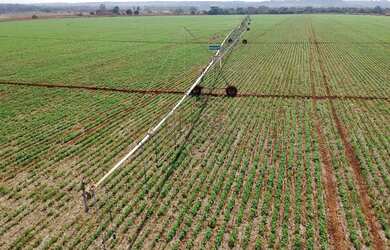 Imagem 5: Fazenda com pivô em Unaí em Minas Gerais, à venda com 125ha