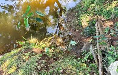 Imagem 16: Sitio Santa Lúcia 7,13 Alq por R$ 1.250.000,00