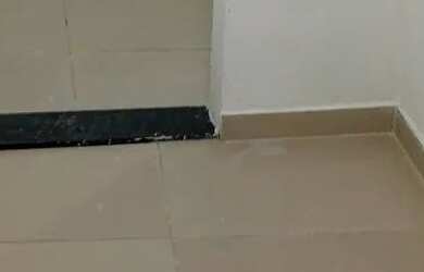 Imagem 7: Alugo Casa com 1 dormitório