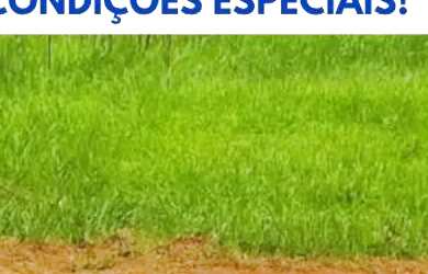 Imagem: O terreno possui 600m² de Área e está localizado em Jardim