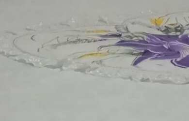 Imagem 8: Casa para alugar Ano Novo