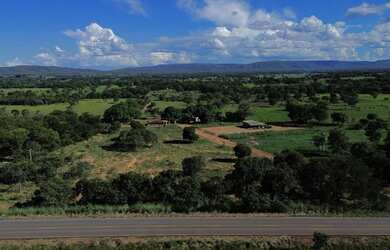 Imagem: A fazenda está localizado em Buritis, MG à venda por