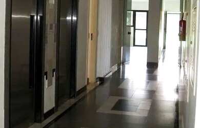 Imagem 3: APARTAMENTO - VILA VIANELO - SP