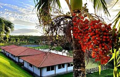Imagem: O terreno possui 1.365m² de Área e está localizado em Serraria