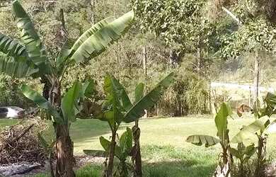 Imagem 11: SÍTIO - SÍTIO DO MORRO - SP