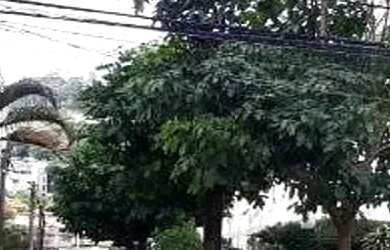 Imagem: O apartamento possui 2 Dormitórios, 1 Banheiro, 2 Vagas na