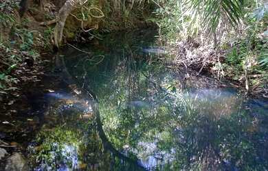 Imagem: A fazenda possui 260.000m² de Área e está localizado em