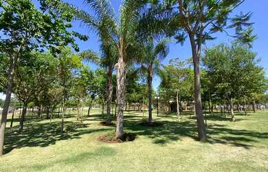 Imagem 13: Terreno à venda no Alto do Castelo, Residencial Alto do Castelo, Ribeirão...