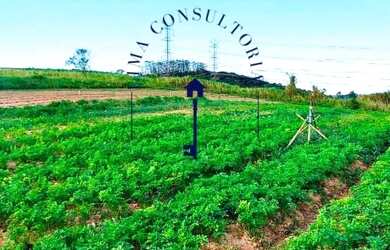 Imagem 3: Lote/Terreno para venda com 600 metros quadrados em Raposo Tavares - Osasco...