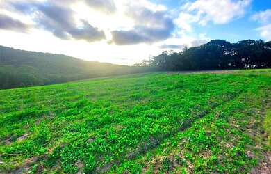 Imagem 2: Lote/Terreno para venda com 600 metros quadrados em Centro - Vargem Grande...