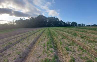 Imagem 16: Lote/Terreno para venda com 600 metros quadrados em Jardim Helena - Carapicuíba...