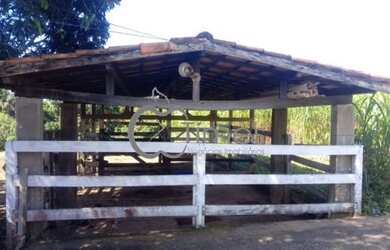 Imagem 13: Rural fazenda com 3 quartos - Bairro Zona Rural em Bela Vista de Goiás