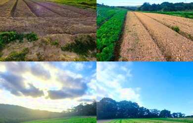 Imagem 12: Lote/Terreno para venda com 600 metros quadrados em Centro - Vargem Grande...