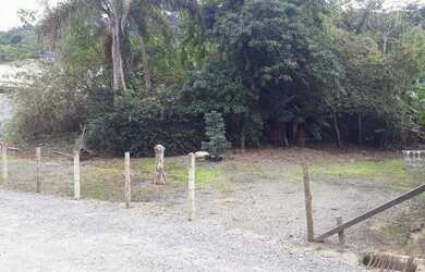 Imagem 6: Terreno para investidores na Praia do Estaleirinho, Balneário Camboriú,...