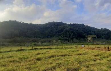 Imagem 10: Lote/Terreno para venda com 10000 metros quadrados em Porto Alpina - Igaratá...