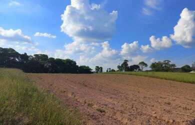 Imagem 10: Terreno plano. 600m² de Área