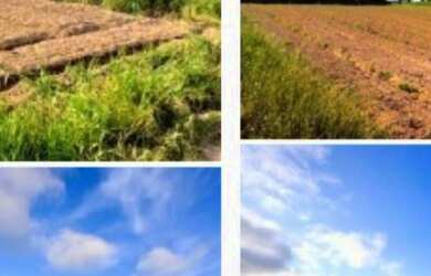 Imagem 4: o /26 Adquira já seu terreno para investir, com infraestrutura em inicio