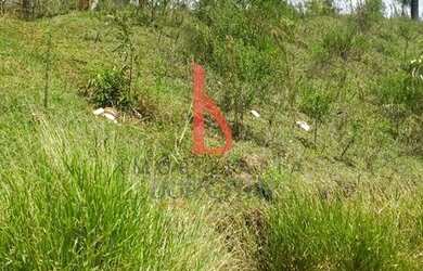 Imagem 9: Terreno 181 metros quadrados Jardim Roma - Almirante Tamandaré - Região...