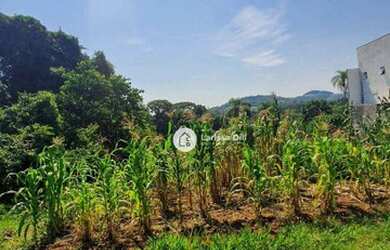 Imagem 4: Terreno à venda, 570 m² por R$ 175.000,00 - Travessão - Dois Irmãos/RS