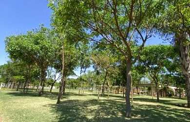 Imagem 11: Terreno à venda no Alto do Castelo, Residencial Alto do Castelo, Ribeirão...