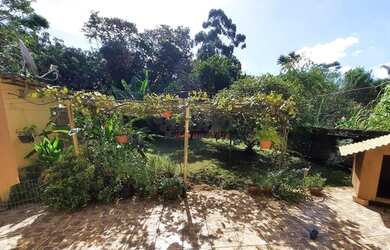 Imagem 12: Novo Hamburgo - Casa Padrão - Canudos