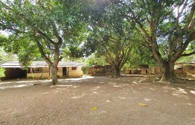 Imagem: A chácara possui 5.000m² de Área e está localizado em Taguatinga