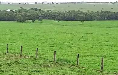 Imagem: A fazenda está localizado em Guararapes, SP à venda por R$6.500.000