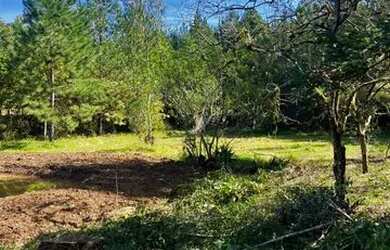 Imagem 13: Sítio Com Açude Em Condomínio Fechado. ROB 533