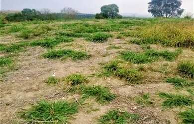 Imagem 16: Lote/Terreno para venda tem 500 metros quadrados em Jardim dos Pinheiros...